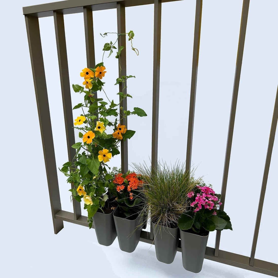 Array Planter