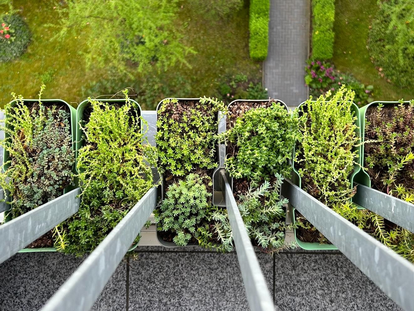 Array Planter
